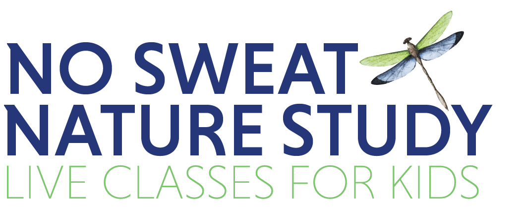 No Sweat Nature Study logo